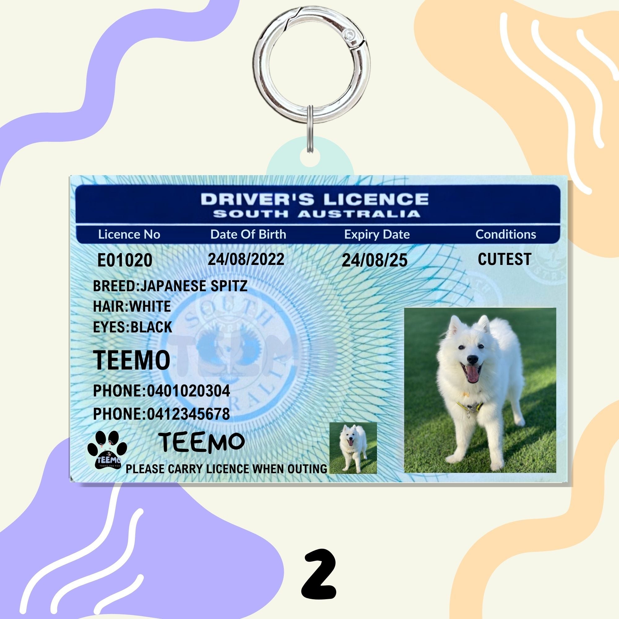 Personalized Pet License Plate Dog Tag Drivers License Licence Dog